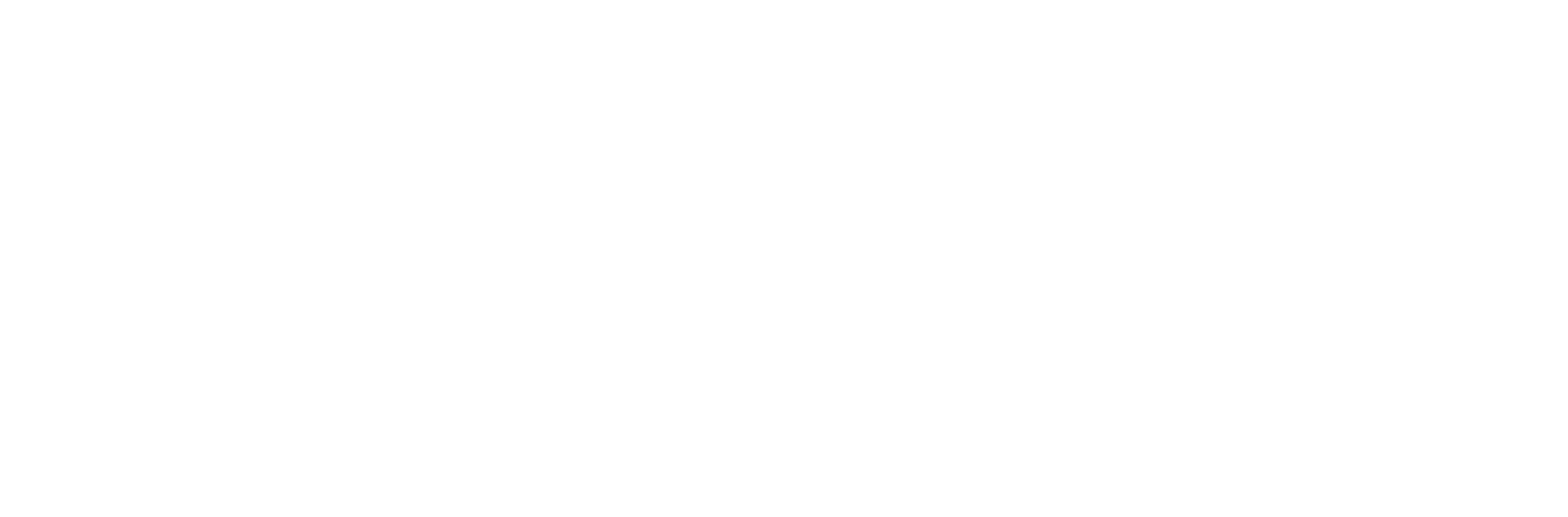 Logo_VDN